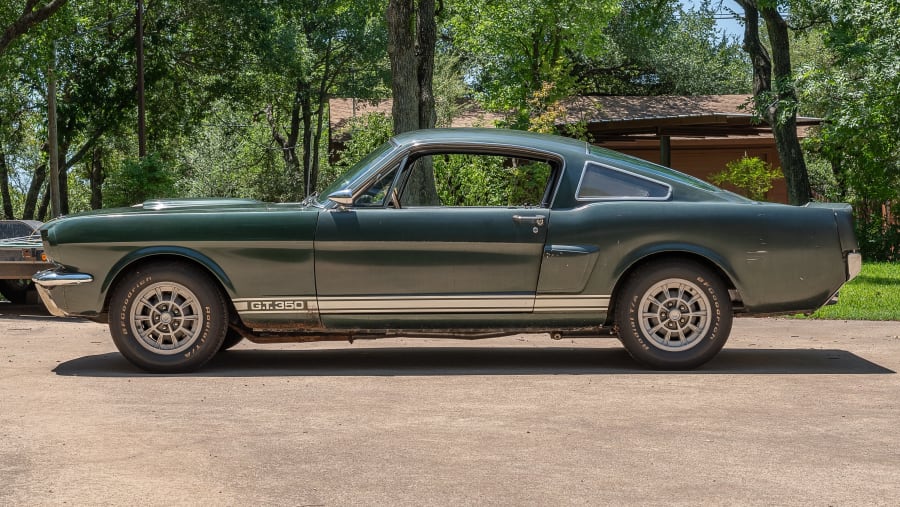 1966 Shelby GT350 Fastback